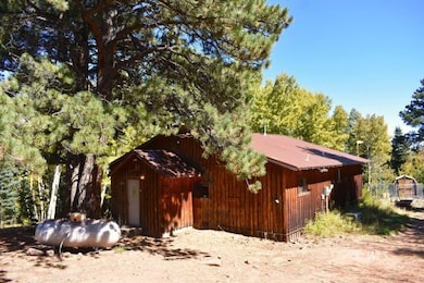 370 Road 182w, Westcliffe, CO 81252 - photo 3