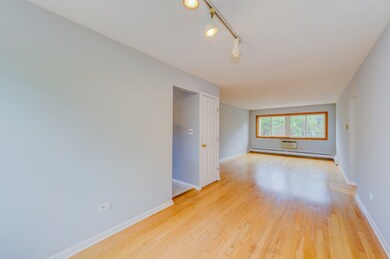 1647 W Rascher Ave unit 3E, Chicago, IL 60640 - photo 5