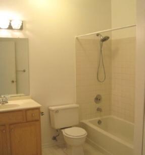 1711 Chesapeake Ln unit 1, Schaumburg, IL 60193 - photo 4