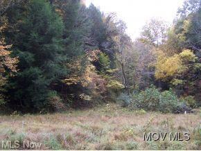 Various species of trees