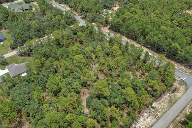 6184 W Eldorado Ln, Beverly Hills, FL 34465 - photo 5