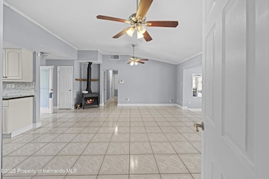 20228 County Line Rd, Lutz, FL 33558 - photo 5