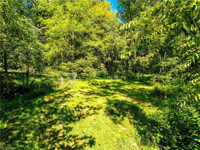 * SOME FENCING IN THE IMMEDIATE BACK YARD ~