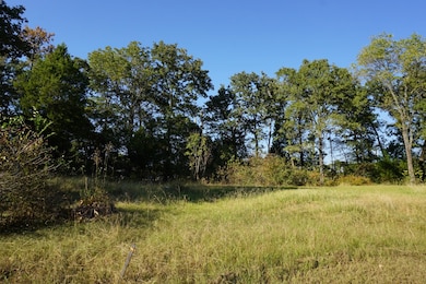 1688 Doc Holiday Dr, Log Cabin, TX 75148 - photo 5