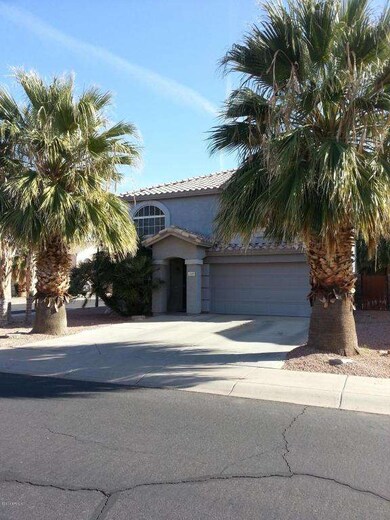 Large Palm Trees