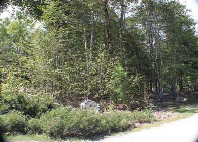 17 Emerald Point Dr, Frye Island, ME 04071 - photo 6