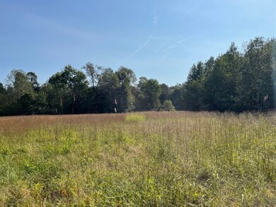 0000 Reynoldsburg Rd, Springville, TN 38256 - photo 6