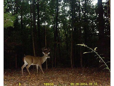 0 Cunningham Dr unit 720240, Bella Vista, AR 72715 - photo 4