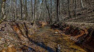 0 Halls Valley Rd NW unit 25650602, Rome, GA 30165 - photo 2