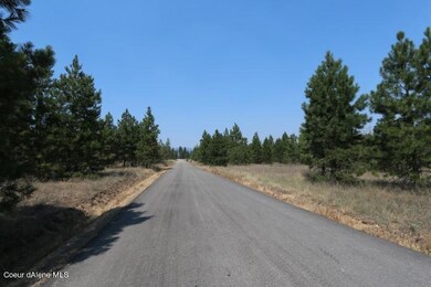 James Way (2)