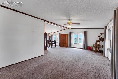 27900 Big Springs Rd, Calhan, CO 80808 - photo 7