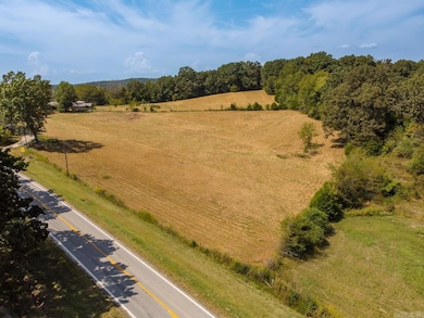 19571 Highway 90 W, Ravenden, AR 72459 - photo 2