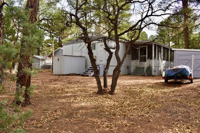 Large backyard!