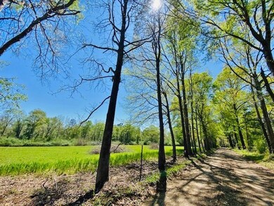 000 S Mary Topps Rd, Franklinton, LA 70438 - photo 2