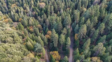 0 Deer Run Rd unit CV25260615, Cedarpines Park, CA 92322 - photo 4