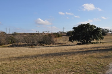 877 W Live Oak St, Fredericksburg, TX 78624 - photo 5