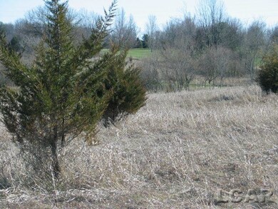 8000 Parkhurst Hwy unit Carroll Dr ((1175), Addison, MI 49220 - photo 4