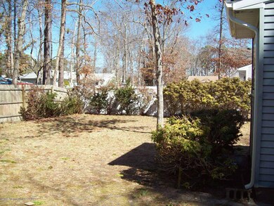 Backyard 2