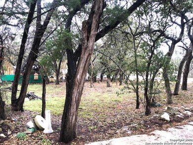 3671 Menger, San Antonio, TX 78259 - photo 4