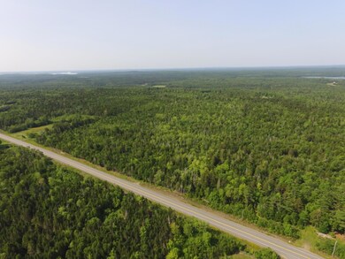 Wooded land parcel to right of field