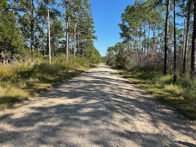 0 Washington Ave, Coden, AL 36523 - photo 2