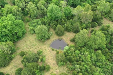 Land for Sale in Arkansas 8