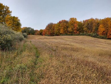 IMG_20201017_111513561_HDR