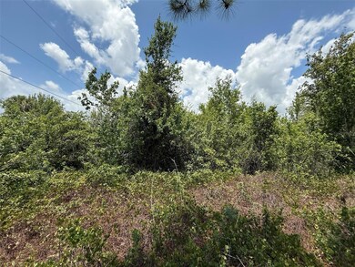 0 Snug St unit MFROK225184, North Port, FL 34286 - photo 7