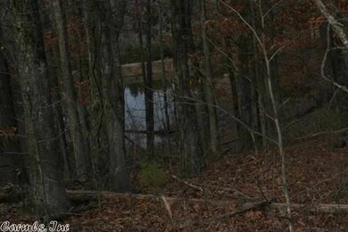 1193 Greene Road 731, Paragould, AR 72450 - photo 7