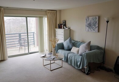 Crescent Park Condominiums unit 608, Woburn, MA 01801 - photo 3