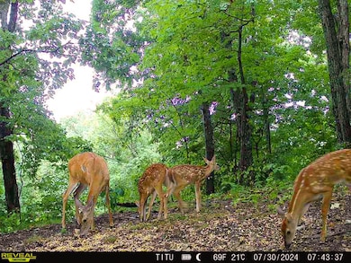 0 Parkinson Rd, Rutland, OH 45775 - photo 2