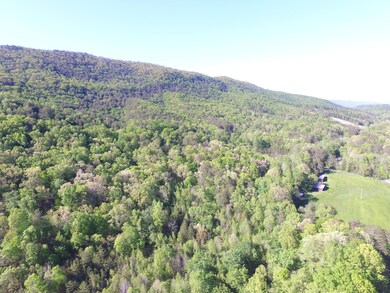 0 Highland Springs Rd unit 1115549, Blaine, TN 37709 - photo 4