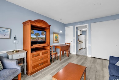 Living room featuring light wood-type flooring and baseboards