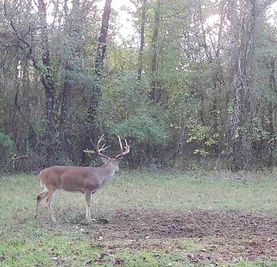 4245 Goodwater Rd, Eagletown, OK 74734 - photo 4