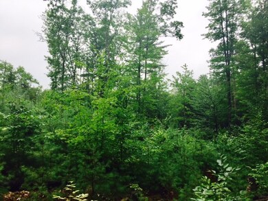 Lot 8 Gordon Hill Rd, New Hampton, NH 03256 - photo 5