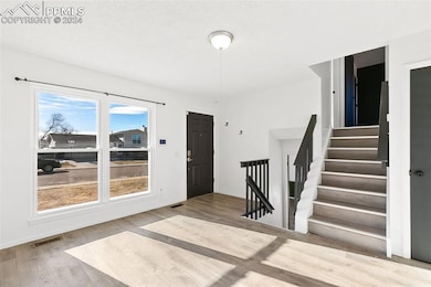Foyer entrance with wood-type flooring