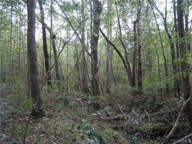 5757 Moore Creek Rd, Powhatan, VA 23139 - photo 5