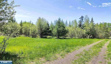 80048 Tamarack, Tower, MN 55790 - photo 3