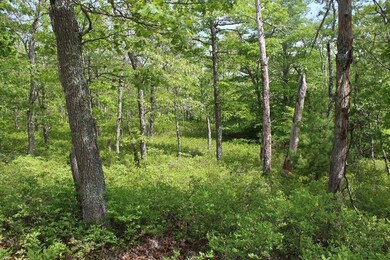 2 Marions Way, Chilmark, MA 02535 - photo 7