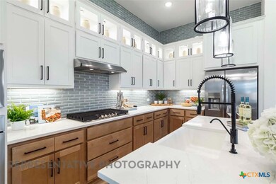 508 High Summit Dr, Georgetown, TX 78628 - photo 5