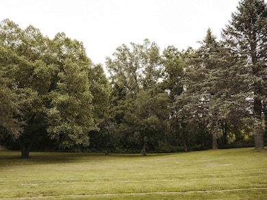 14149 Iowa 56, Elkader, IA 52043 - photo 3