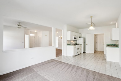 13322 S Bayberry Ln, Plainfield, IL 60544 - photo 7