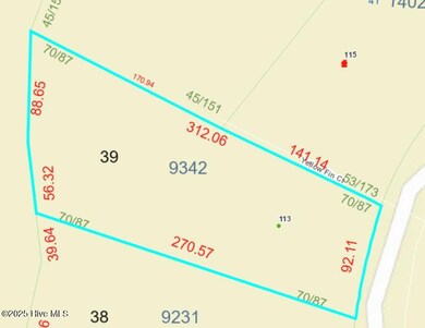 113 Sterling Dr, Sneads Ferry, NC 28460 - photo 7