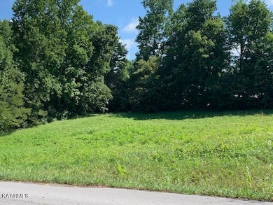 0 Oak Point Dr unit 1202484, Jonesville, VA 24263 - photo 3