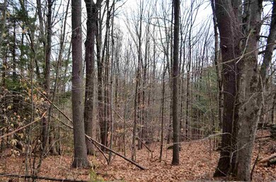 000 Deer Run unit Map 1, Lot 359 J, Henniker, NH 03242 - photo 4