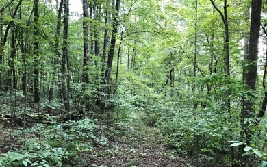 LT43B Mountain Rivers Ln, Mineral Bluff, GA 30559 - photo 4