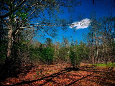 TBD Chestnut St, McComb, MS 39648 - photo 7