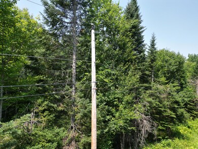 Lot 6 Mattamiscontis Rd, Mattamiscontis Township, ME 04457 - photo 6