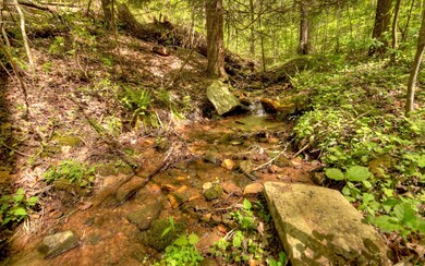 Additional View