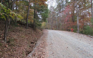 LT368 Summit Ln, Ellijay, GA 30540 - photo 4